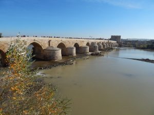 EQUO reclama el canon que se recauda de las hidroeléctricas a la protección y mejora de los cauces de los ríos. Verdes Equo Andalucía