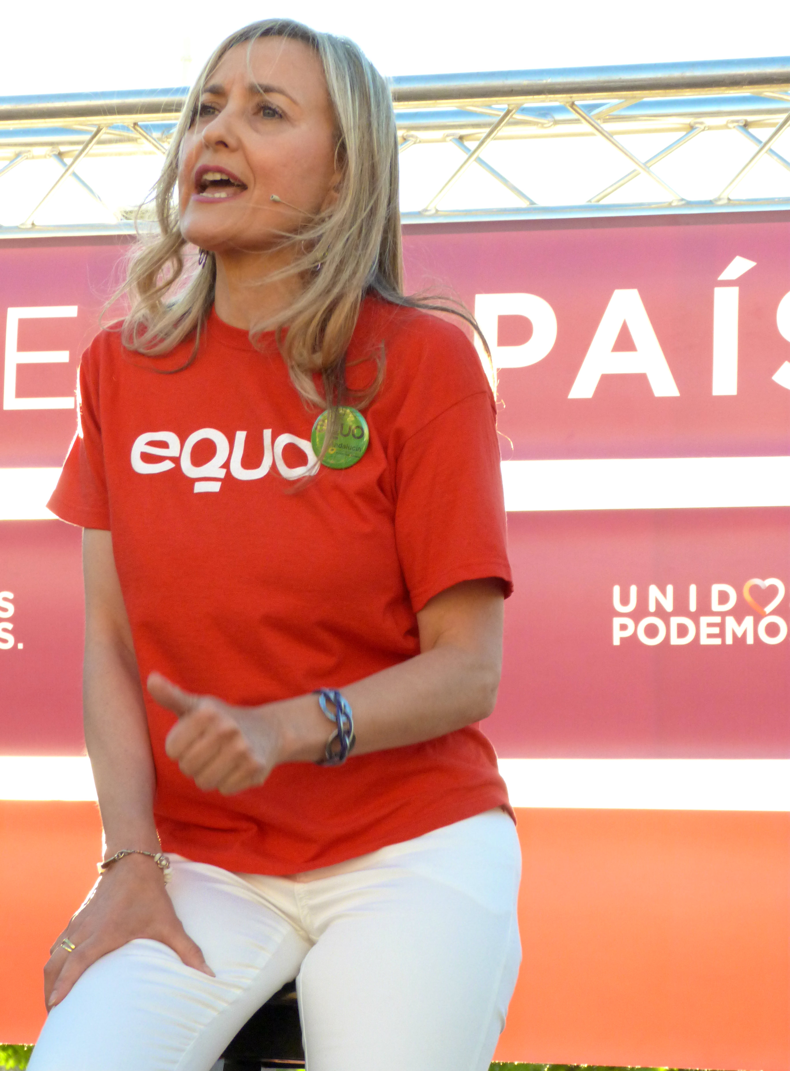 Brito en un momento de su intervención.