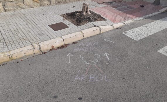 Verdes EQUO inicia otra campaña en el mes de octubre para sensibilizar a la administración en la reposición y cuidado del arbolado urbano Verdes EQUO inicia otra campaña en el mes de octubre para sensibilizar a la administración en la reposición y cuidado del arbolado urbano Verdes Equo Andalucía
