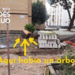 Verdes EQUO finaliza su campaña “Aquí había un árbol” Verdes EQUO finaliza su campaña “Aquí había un árbol” Verdes Equo Andalucía
