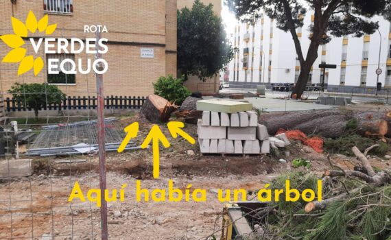 Verdes EQUO inicia en octubre por segundo año la campaña “Aquí había un árbol” Verdes EQUO inicia en octubre por segundo año la campaña “Aquí había un árbol” Verdes Equo Andalucía