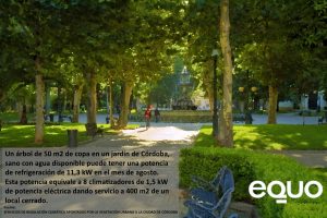 EQUO alerta sobre la urgente necesidad de más árboles, más bosques y más sombras en Córdoba y provincia Verdes Equo Andalucía