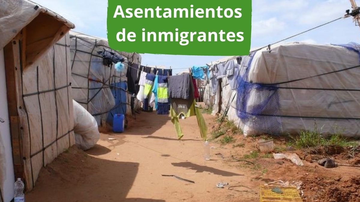 Asentamientos de inmigrantes en Andalucía: situación y propuestas Imagen portada sobre asentamientos de inmigrantes en Andalucía