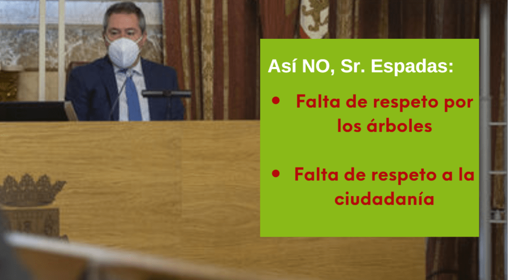 No son suficientes las disculpas de Espadas frente al arboricidio y la falta de respeto a la ciudadanía No son suficientes las disculpas de Espadas frente al arboricidio y la falta de respeto a la ciudadanía Verdes Equo Andalucía