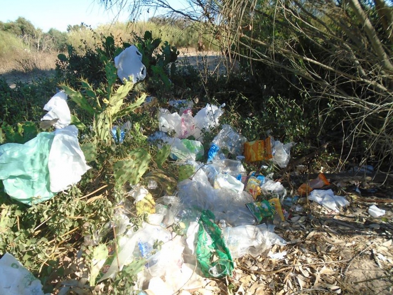 Festivales: pedimos que se extreme la vigilancia, sobre todo en los que se celebran en entornos naturales Verdes Equo Andalucía
