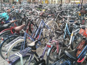 EQUO reclama una movilidad acorde para luchar contra el cambio climático en todos los municipios de la provincia de Córdoba Verdes Equo Andalucía