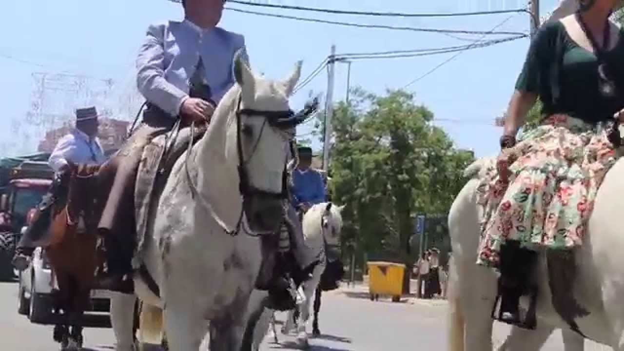 Preguntamos en el Congreso por el maltrato animal en El Rocío Verdes Equo Andalucía