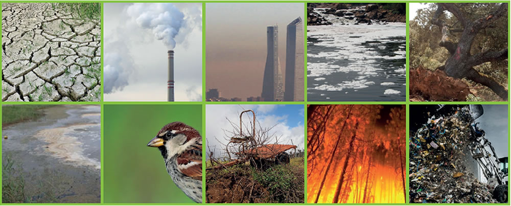 ¿Cuáles son las peores amenazas medioambientales en España? Verdes Equo Andalucía