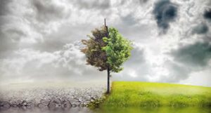 EQUO pide que la lucha contra el cambio climático esté presente en todas las partidas presupuestarias andaluzas Verdes Equo Andalucía