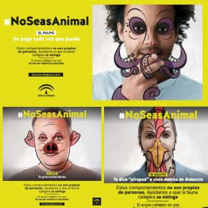 EQUO pide la retirada de la última campaña del Instituto Andaluz de la Mujer contra el acoso Verdes Equo Andalucía