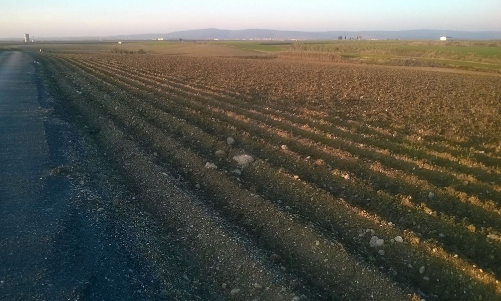 Foto de un campo andaluz