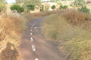 EQUO reclama el mantenimiento del carril bici a Rabanales Verdes Equo Andalucía