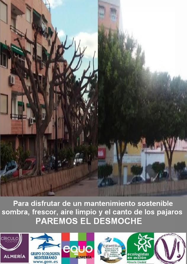 Unidos por un mantenimiento sostenible de los árboles Verdes Equo Andalucía