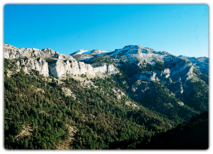 Resumen de la Semana Europea de la Movilidad en Puerto Real Resumen de la Semana Europea de la Movilidad en Puerto Real Verdes Equo Andalucía