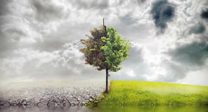 Pedimos que la lucha contra el cambio climático esté presente en todas las partidas presupuestarias andaluzas Verdes Equo Andalucía