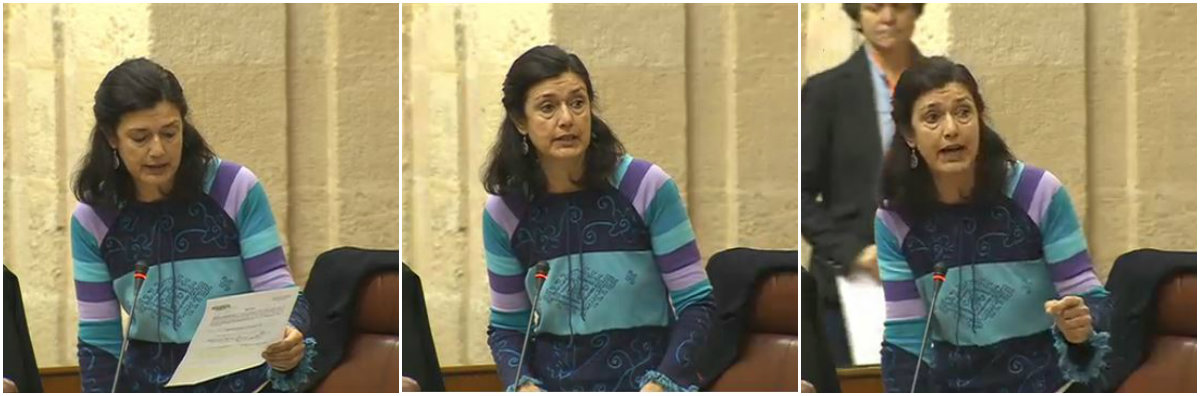 Carmen Molina solicita que se garantice la compatibilidad de uso en la Cañada Real de Osuna, entre la necesaria conexión viaria y como vía pecuaria Verdes Equo Andalucía