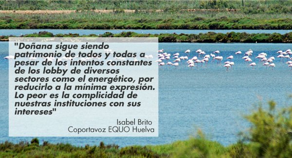 Exigimos la paralización inmediata de proyecto de almacenamiento de gas en Doñana Verdes Equo Andalucía