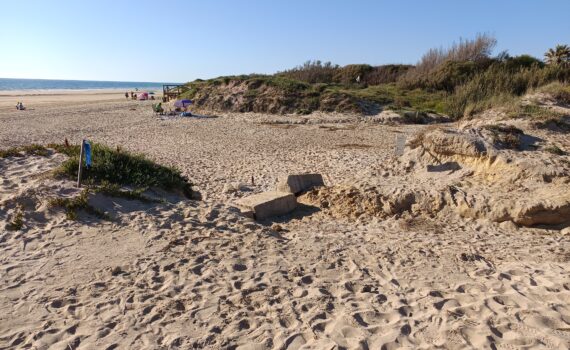 La Plazoleta Ecologistas en acción Rota y Verdes EQUO denuncian la destrucción de la duna en regeneración en Aguadulce La Plazoleta Ecologistas en acción Rota y Verdes EQUO denuncian la destrucción de la duna en regeneración en Aguadulce Verdes Equo Andalucía