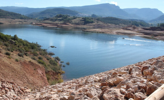Verdes EQUO recuerda las acciones propuestas para el ahorro de agua Verdes Equo Andalucía