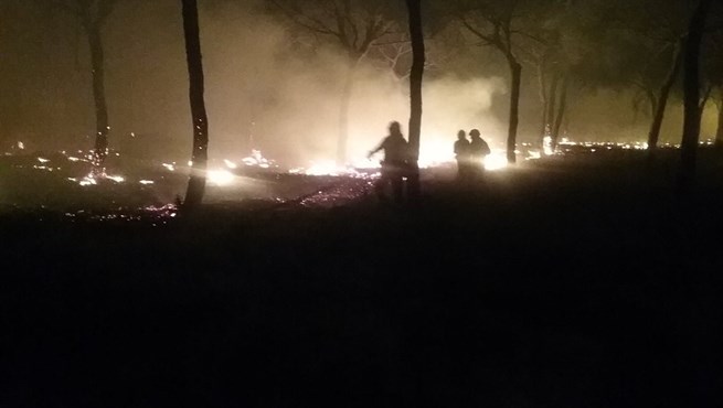 Doñana: pedimos castigo para los responsables y damos las gracias a los que apagan Doñana Verdes Equo Andalucía