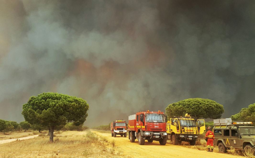Reclamamos más medidas contra los incendios ante su intensificación a causa de cambio climático Verdes Equo Andalucía