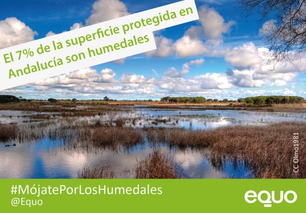 Finaliza la actuación de mejora en el asfaltado de la ciudad Finaliza la actuación de mejora en el asfaltado de la ciudad Verdes Equo Andalucía