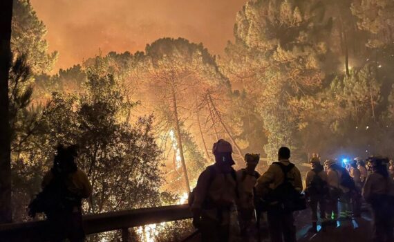 Lamentamos la muerte de un bombero forestal en el terrible incendio de Sierra Bermeja Lamentamos la muerte de un bombero forestal en el terrible incendio de Sierra Bermeja Verdes Equo Andalucía