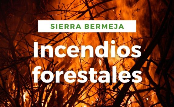 Incendio Sierra Bermeja: se veía venir la tragedia Imagen con alusiones al incendio forestal de Sierra Bermeja