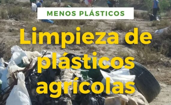 Limpieza de plásticos en Níjar, Almería imagen de portada de la Limpieza de plásticos en Níjar, Almería con Verdes Equo Andalucía