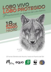 EQUO espera que un apoyo masivo a la manifestación por el lobo de este domingo “haga también a la Junta abrir los ojos” Verdes Equo Andalucía