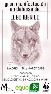 EQUO lamenta que la Junta ceda a las presiones de los ganaderos y renuncie a reintroducir el lobo en Andalucía Verdes Equo Andalucía