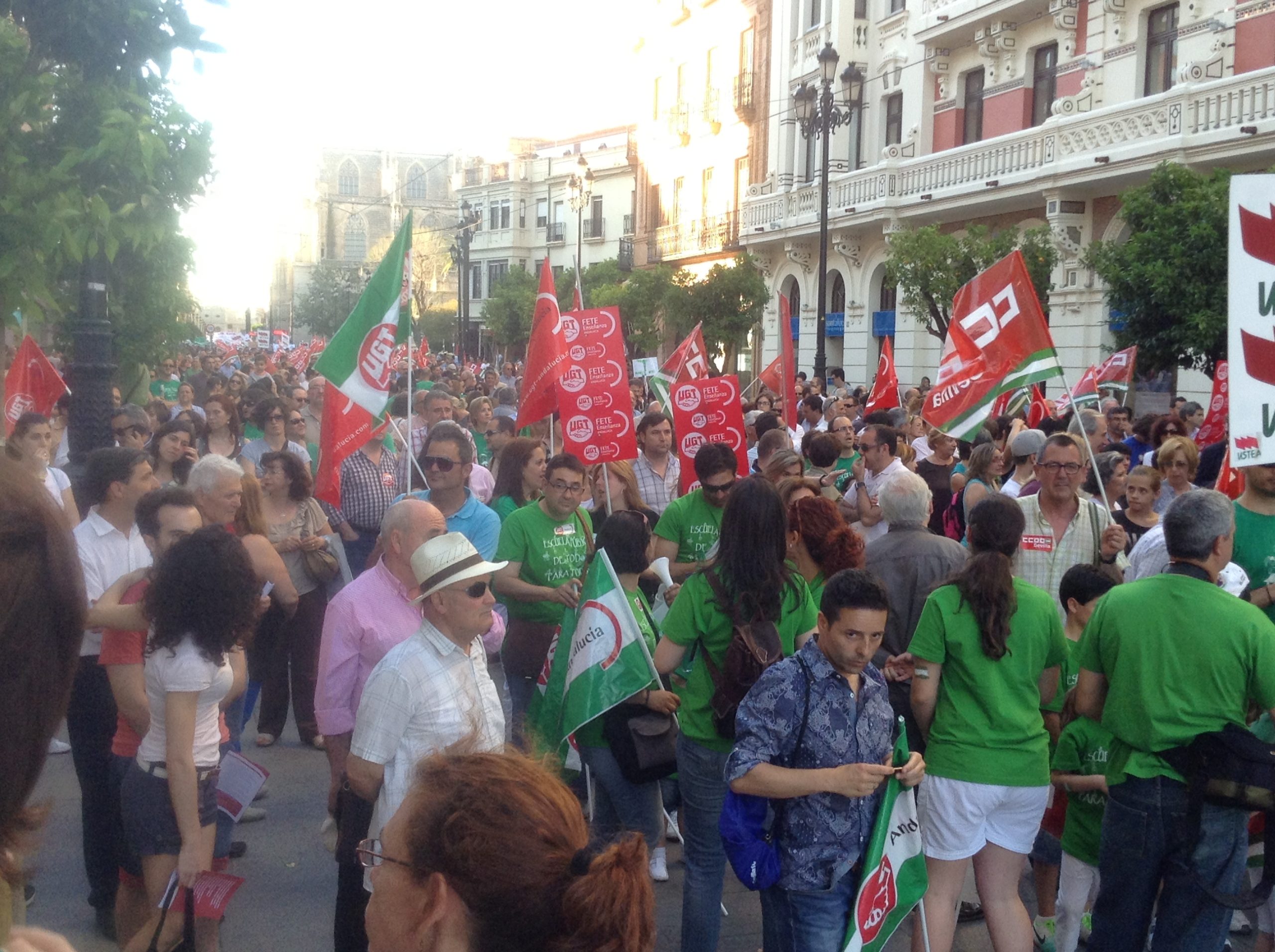 EQUO Sevilla mantiene su presencia en la nueva Comisión Ejecutiva Federal con Alejandro Aguilar Verdes Equo Andalucía