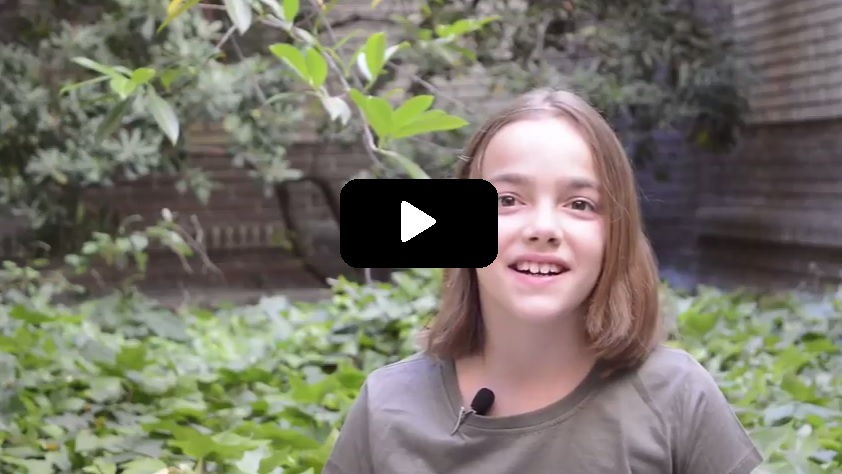 Nosotros, lo haríamos por vosotros Verdes Equo Andalucía