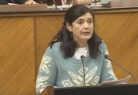 Exigimos a Medio Ambiente que garantice la descontaminación de los terrenos de Repsol en Málaga Verdes Equo Andalucía