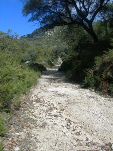 El campo que sí queremos Verdes Equo Andalucía