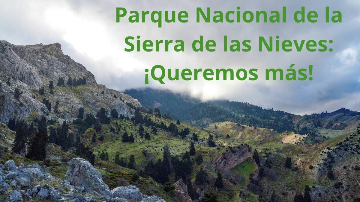 Parque Nacional de la Sierra de las Nieves: ¡Queremos más! imagen portada de Parque Nacional de la Sierra de las Nieves: ¡Queremos más!