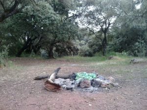 EQUO alerta del riesgo de incendio en el Patriarca ante el incivismo y la insuficiente presencia municipal Verdes Equo Andalucía