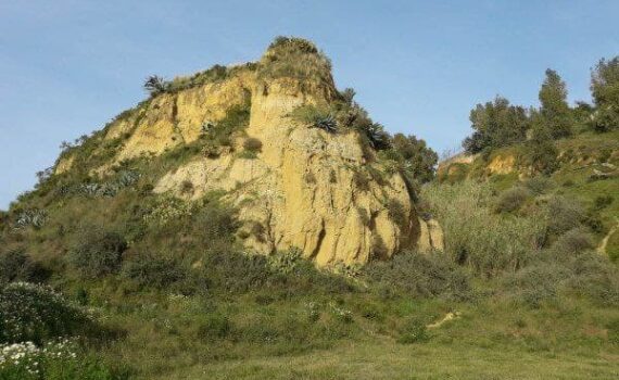 El alcalde de Huelva tiene que defender el patrimonio común de toda la ciudadanía. El alcalde de Huelva tiene que defender el patrimonio común de toda la ciudadanía. Verdes Equo Andalucía