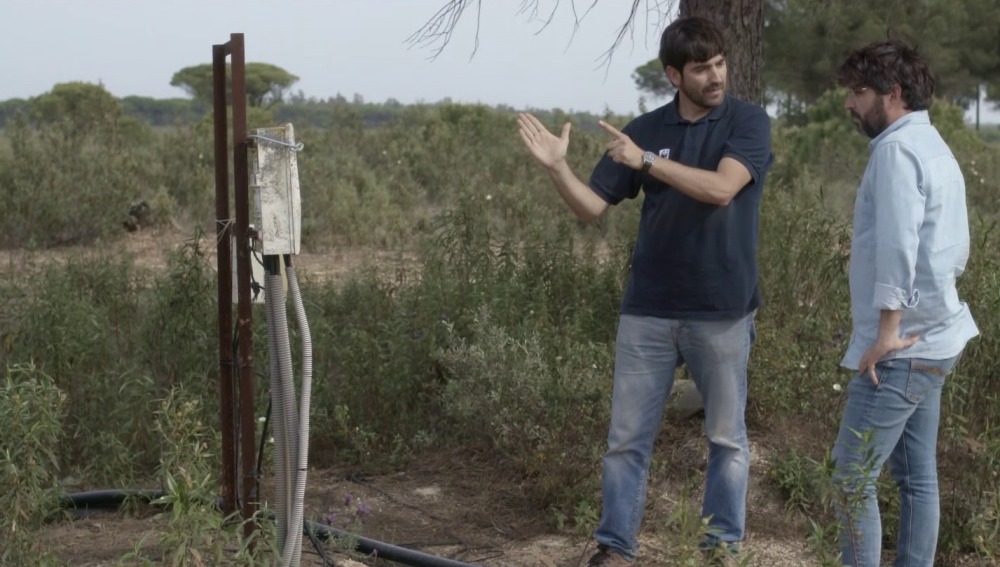 Reclamamos nuevamente el cierre efectivo de los pozos ilegales en Doñana Verdes Equo Andalucía