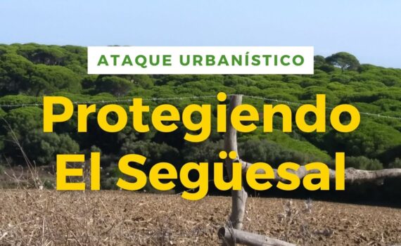 Europa nos da la razón sobre el Següesal Foto de El Següesal que quieren urbanizar