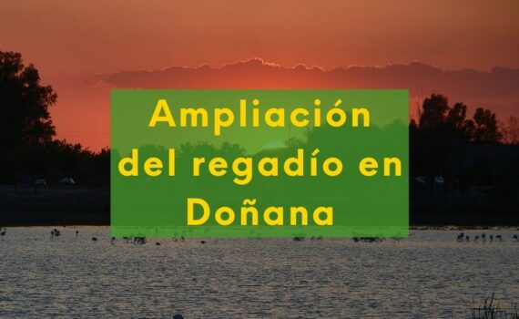 Regadío en Doñana: ¿Conviene? Foto de fondo con la puesta del Sol en Doñana, Andalucía y texto: Ampliación del regadío en Doñana