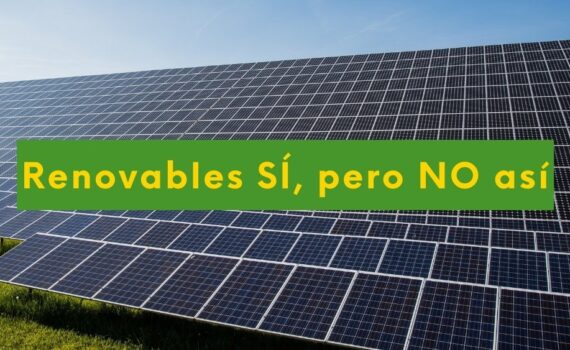 ¡Renovables sí, pero no así! Foto con macro instalación de placas solares y el texto: renovables sí, pero no así.