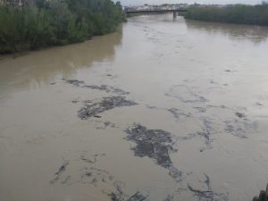 EQUO cuestiona el trabajo de la CHG en el mantenimiento de cauces de ríos y arroyos en la provincia de Córdoba Verdes Equo Andalucía