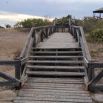 Verdes Equo denuncia la falta de accesibilidad en los pinares y en la nueva oficina de turismo Verdes Equo Andalucía