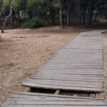 Verdes Equo denuncia la falta de accesibilidad en los pinares y en la nueva oficina de turismo Verdes Equo Andalucía