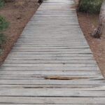 Verdes Equo denuncia la falta de accesibilidad en los pinares y en la nueva oficina de turismo Verdes Equo Andalucía