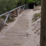 Verdes Equo denuncia la falta de accesibilidad en los pinares y en la nueva oficina de turismo Verdes Equo Andalucía