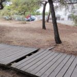 Verdes Equo denuncia la falta de accesibilidad en los pinares y en la nueva oficina de turismo Verdes Equo Andalucía