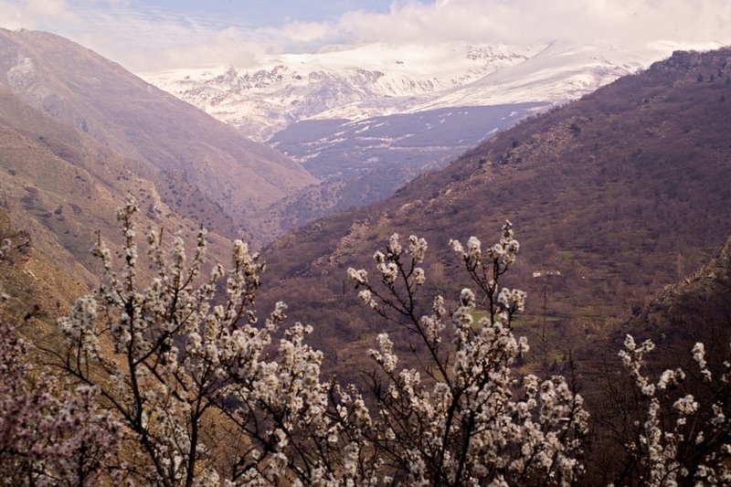 Vista del Parque Nacional de Sierra Nevada.