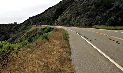 Pedimos a la Junta que prohíba el uso de glifosato en el control de la vegetación de las carreteras de su titularidad Verdes Equo Andalucía
